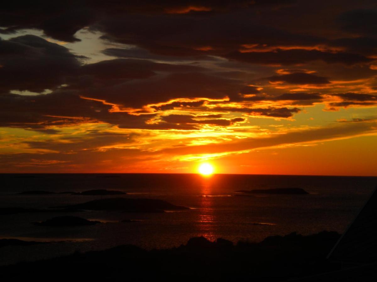 Apt 101 - Andenes Whale Safari Apartments 外观 照片